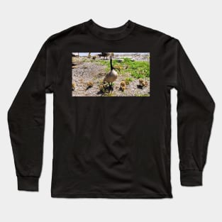 Canada Goose Watching Its Goslings Long Sleeve T-Shirt